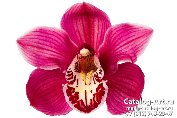 картинки для фотопечати на потолках, идеи, фото, образцы - Потолки с фотопечатью - Розовые орхидеи 72
